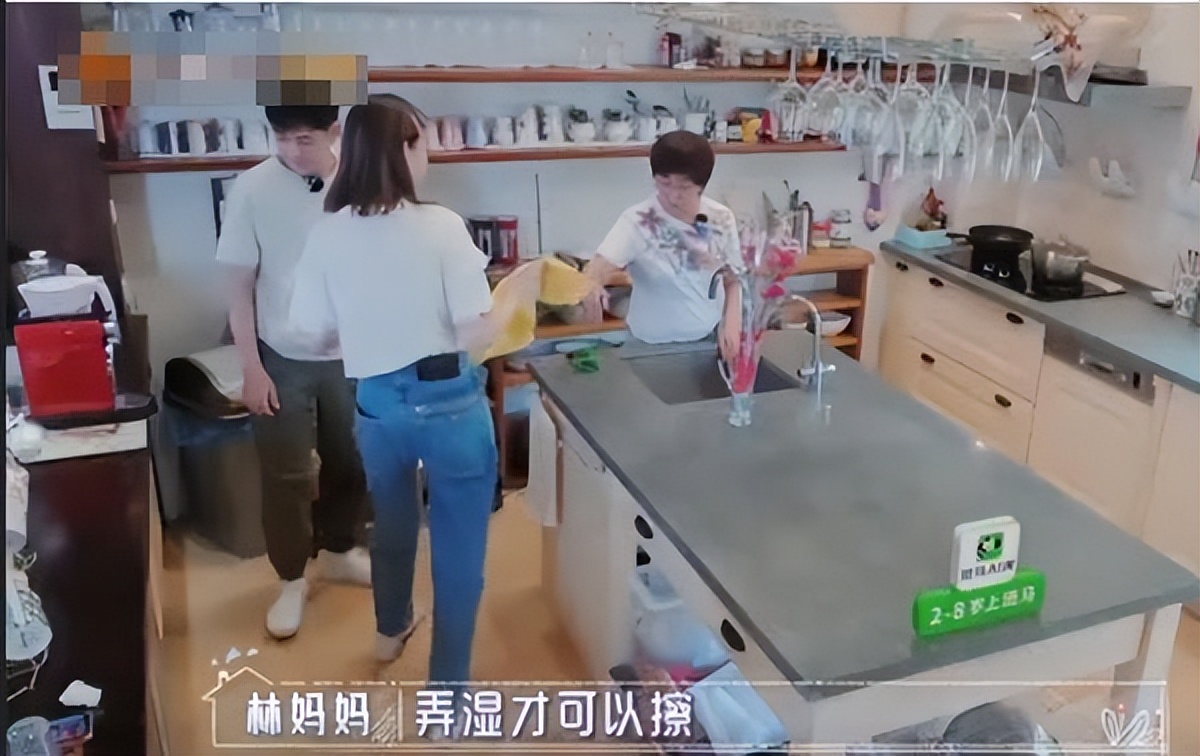 人工名媛陈若仪：为林志颖生三个儿子，也只能听婆婆使唤擦玻璃