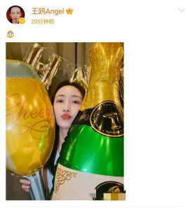​王鸥个人资料简介年龄学历（40岁王鸥生日太寒酸，圈内无明星朋友祝贺，圈外也