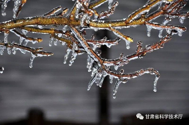 冻雨是什么意思(冻雨是怎样形成的)