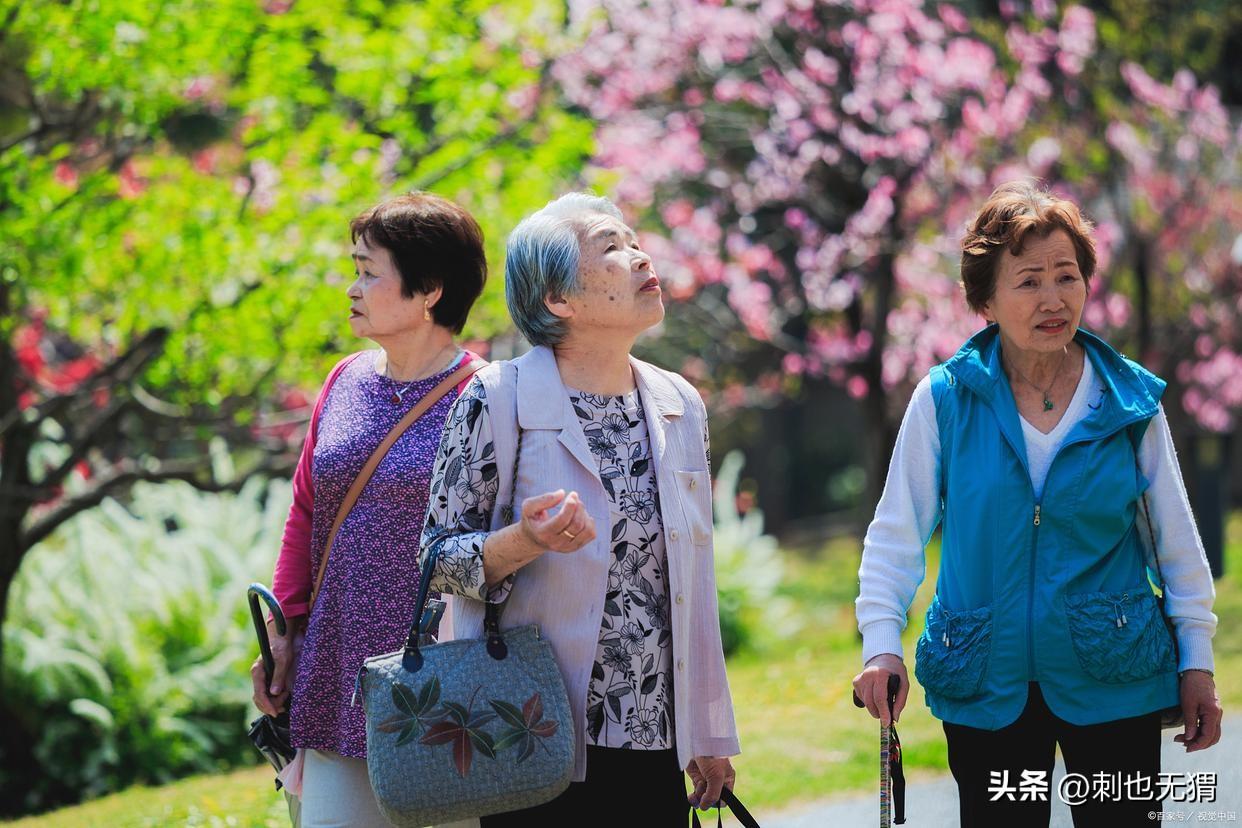 适合70岁老人旅游的地方(70岁老人适合去哪里旅游)
