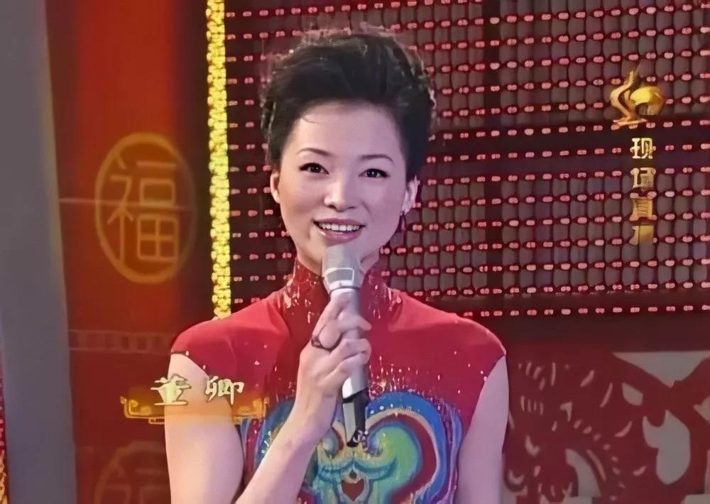 董卿个人资料，那个在光环之外闪耀的人，究竟是何等的人物？