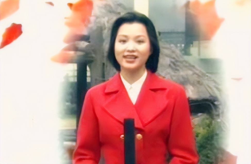 董卿个人资料，那个在光环之外闪耀的人，究竟是何等的人物？