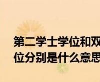 我想问问双普选是什么意思