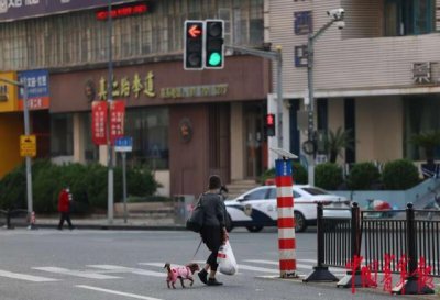 ​在上海电话亭住了一个月的女人是谁(对话上海“电话亭女士”：我这个人活得很简