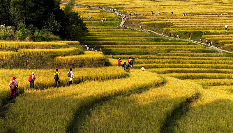 连山是哪个省哪个市(连山县属于哪个市哪个区)