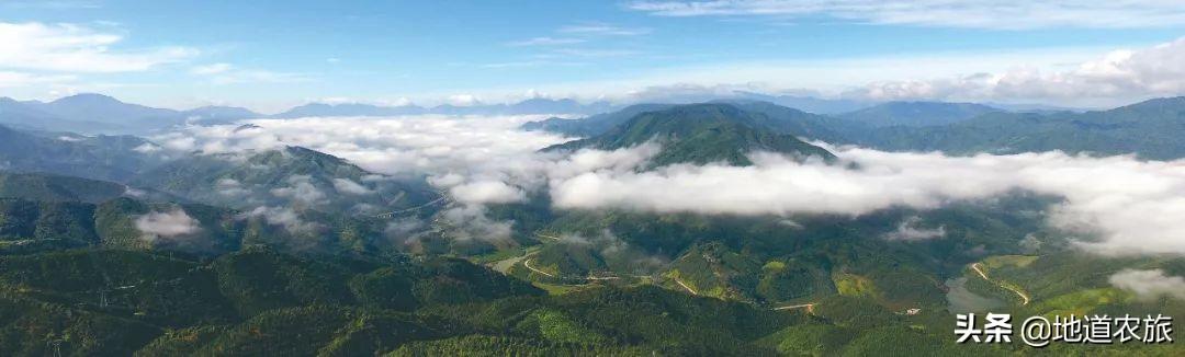 连山是哪个省哪个市(连山县属于哪个市哪个区)