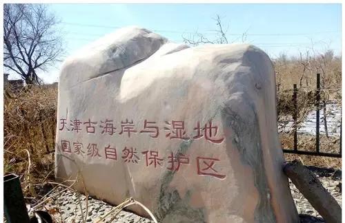 津南区属于哪个省哪个市(津南区是哪个城市)
