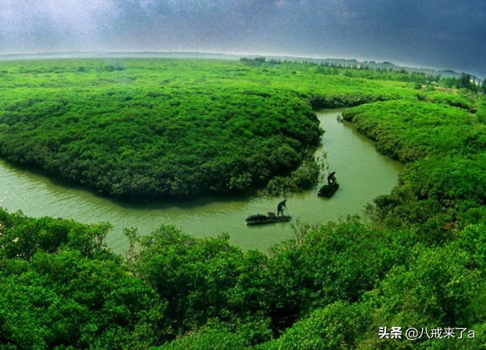 廉江市属于哪个市(广东省廉江市属于哪个市)