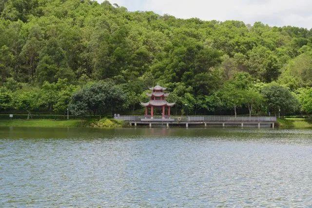 龙岗区属于哪个市(龙岗属于哪个省哪个市)