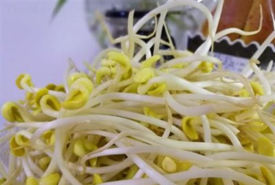​黄豆芽发了小芽能吃,黄豆芽刚出小芽能吃吗