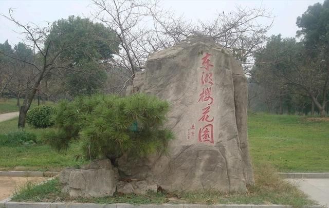 武汉樱花什么时候开，武汉华农樱花什么时候开？图3