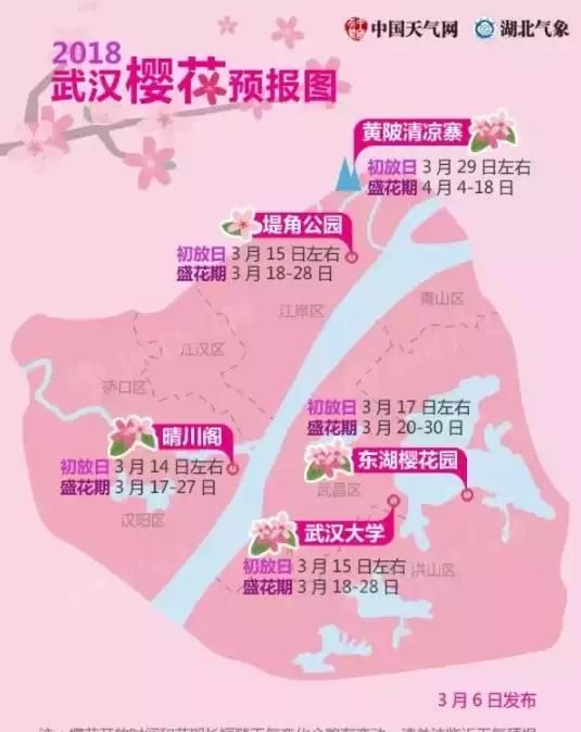 武汉樱花什么时候开，武汉华农樱花什么时候开？图2