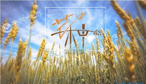 谷是什么意思