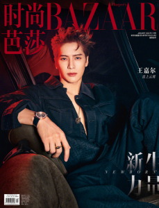 ​王嘉尔个人简介（王嘉尔 直上云霄）