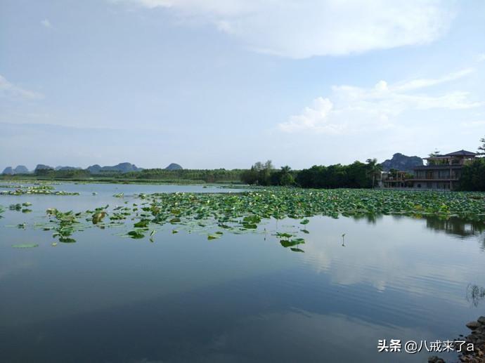 覃塘区属于哪个市(广西覃塘区属于哪个市)