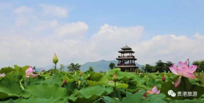 ​覃塘区属于哪个市(广西覃塘区属于哪个市)