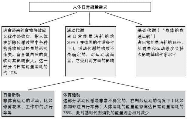 每天跳绳3000个半个月体重没变化（每天跳绳3000个多久能看到效果）
