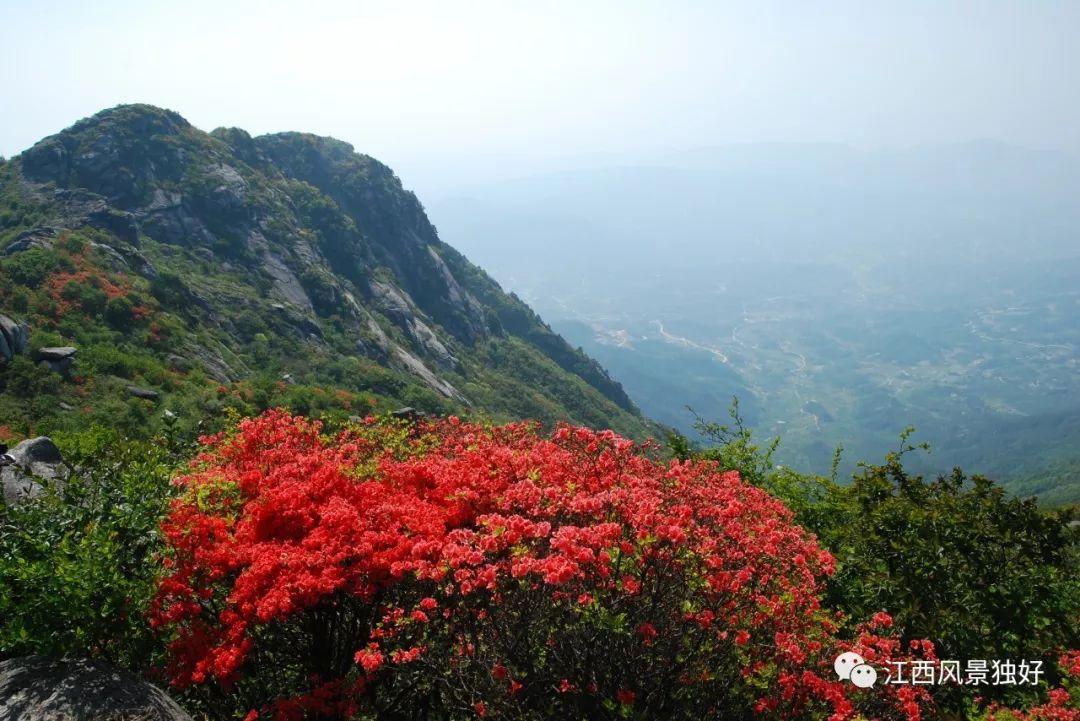 江西有什么山(江西十大名山)
