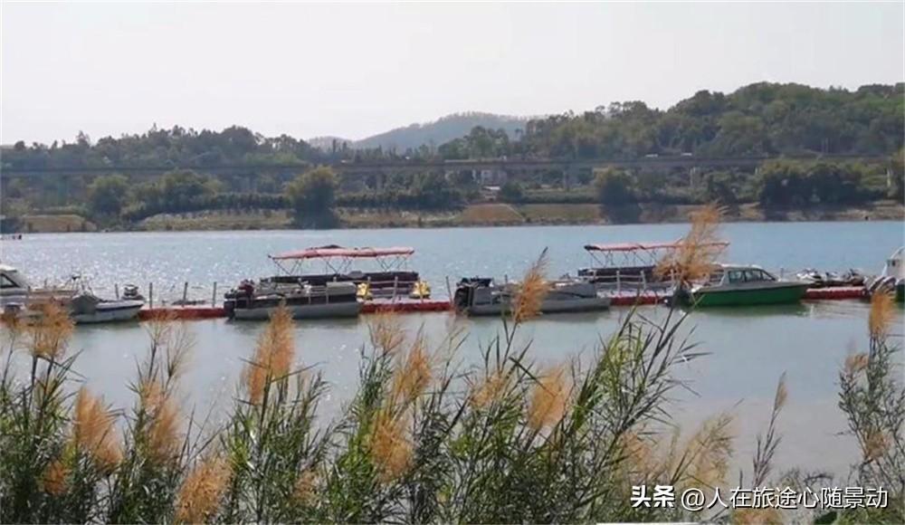 南宁江南区旅游景点有哪些(南宁江南区旅游景点)