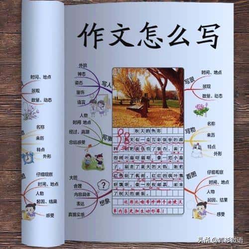 八种写作手法及应用（八种写作手法是什么）