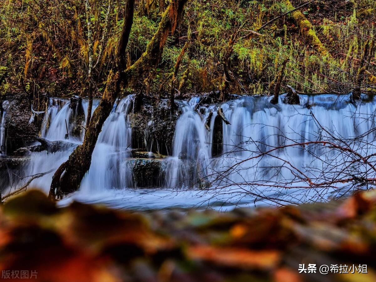 阿坝州旅游景点有哪些(阿坝州有哪些旅游景点)