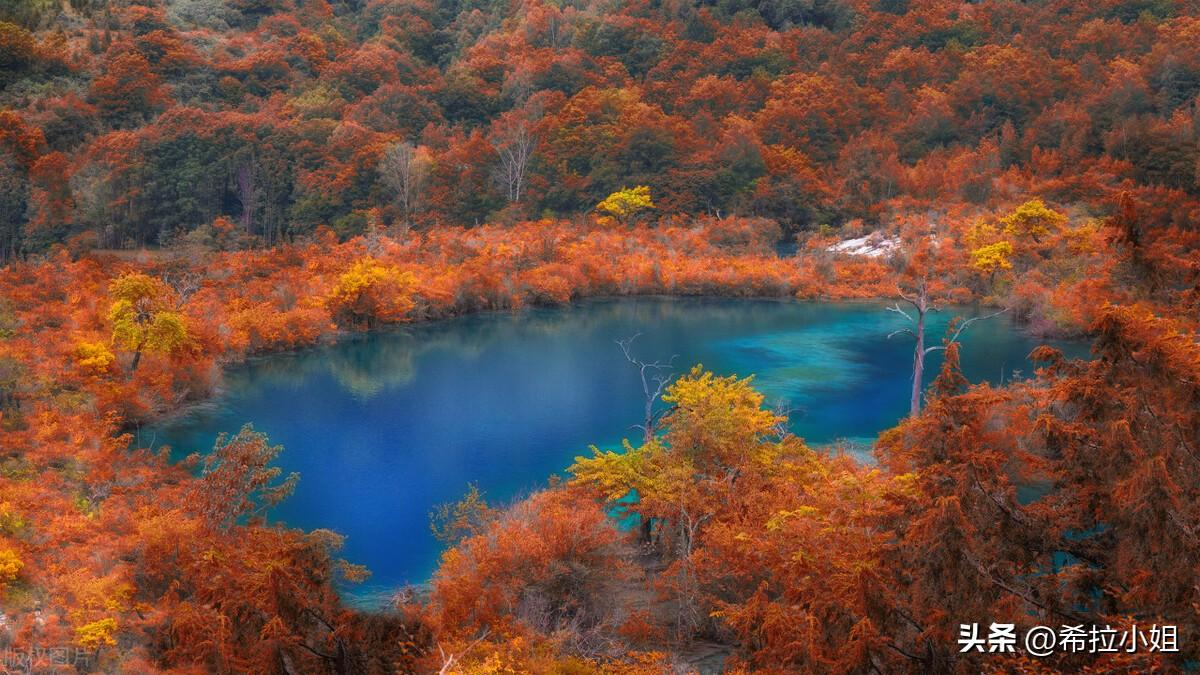 阿坝州旅游景点有哪些(阿坝州有哪些旅游景点)