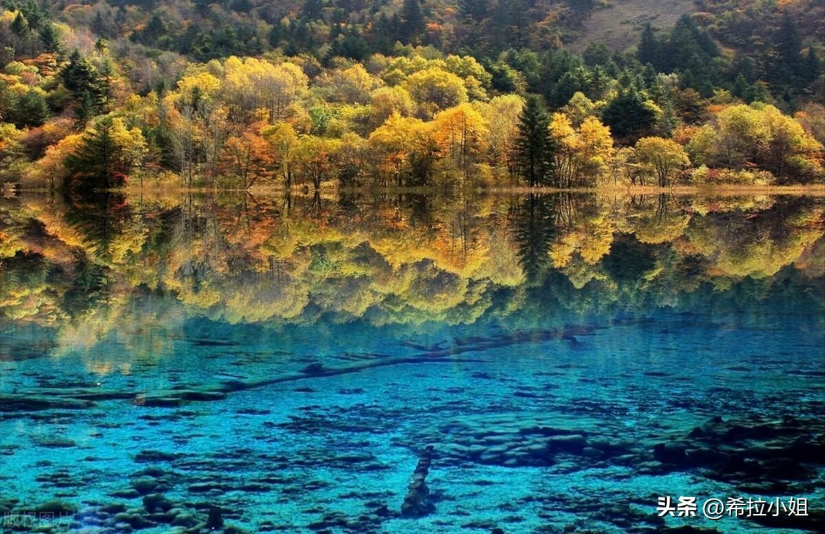 阿坝州旅游景点有哪些(阿坝州有哪些旅游景点)