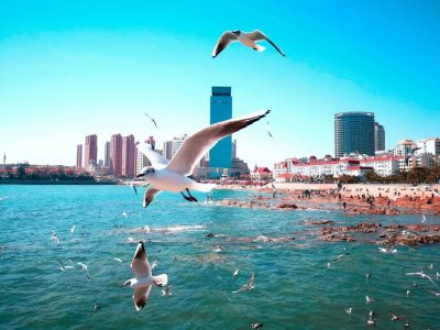 ​山东省各市人口排名(山东省各市人口数量)