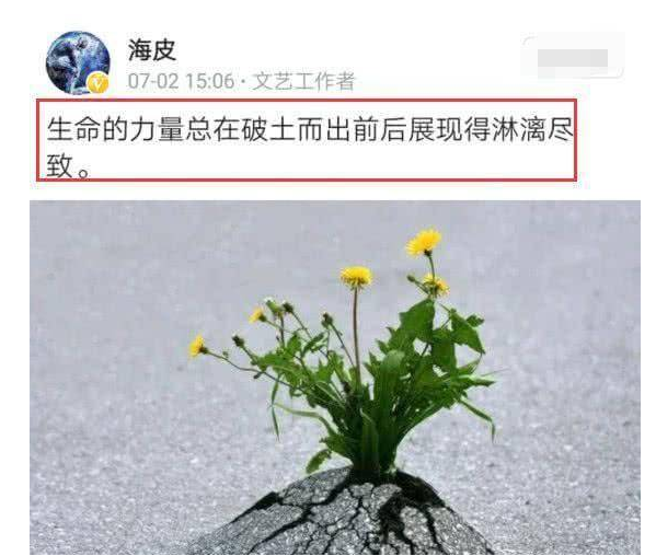 黄海波资料 ：38岁因一则桃色丑闻身败名裂，7年过去了，终于不“装”了
