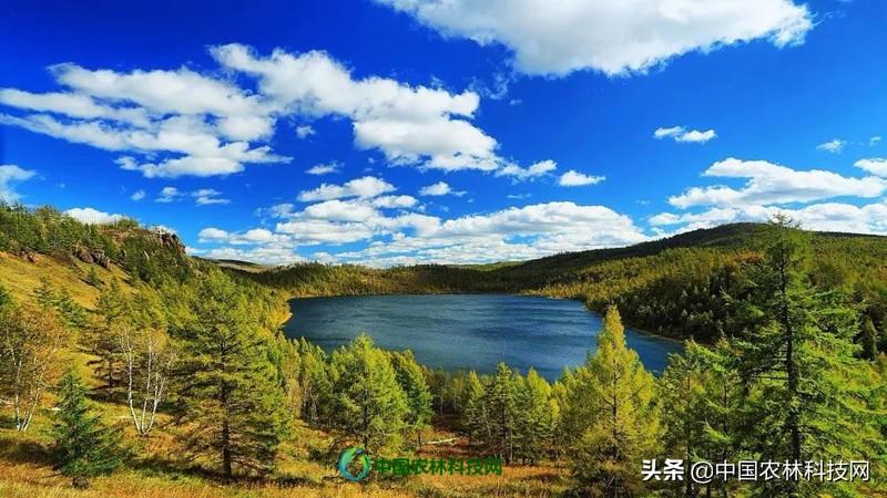 东丰县属于哪个市(东丰县属于哪个省哪个市)