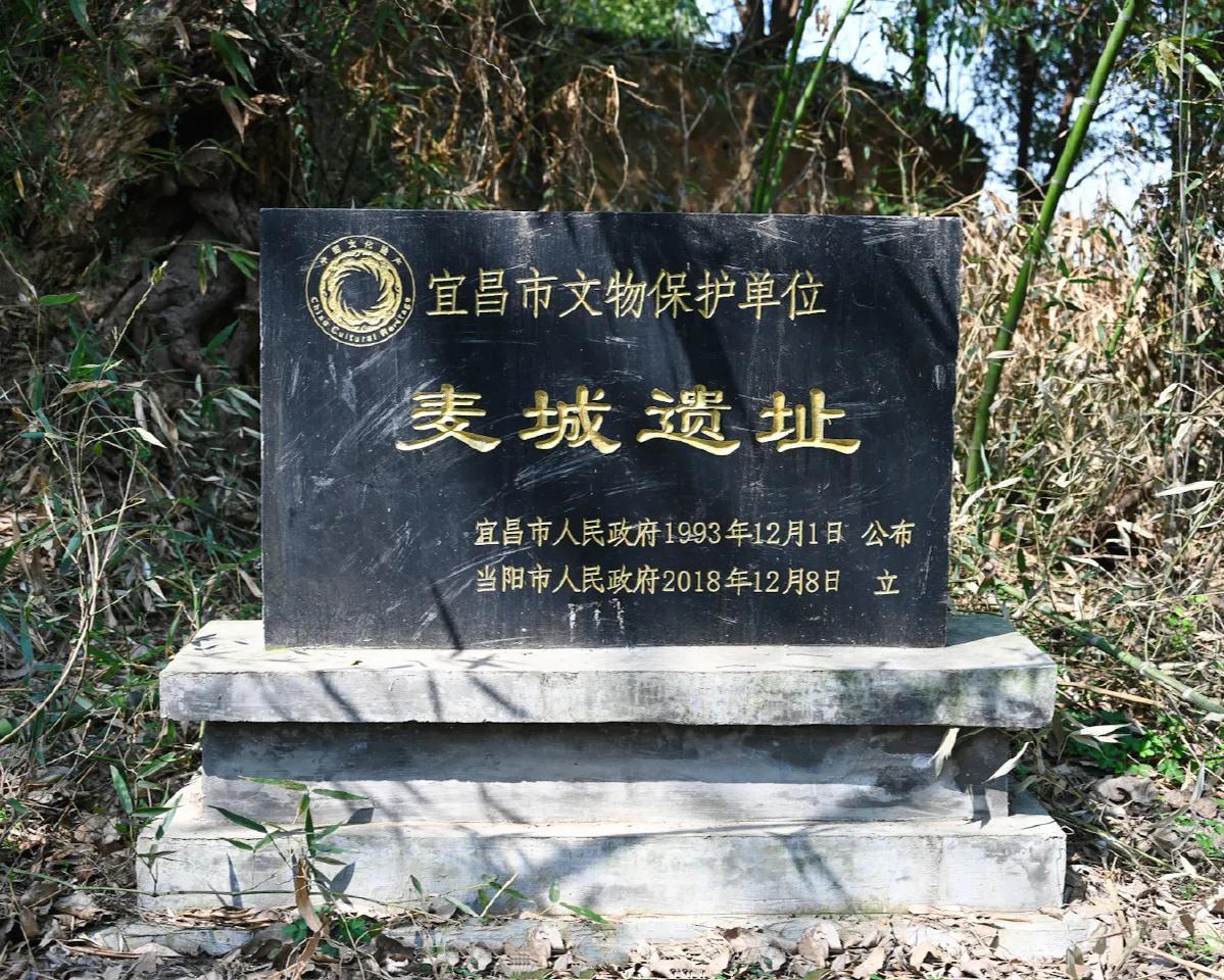 当阳市属于哪个省哪个市(湖北当阳属于哪个市)