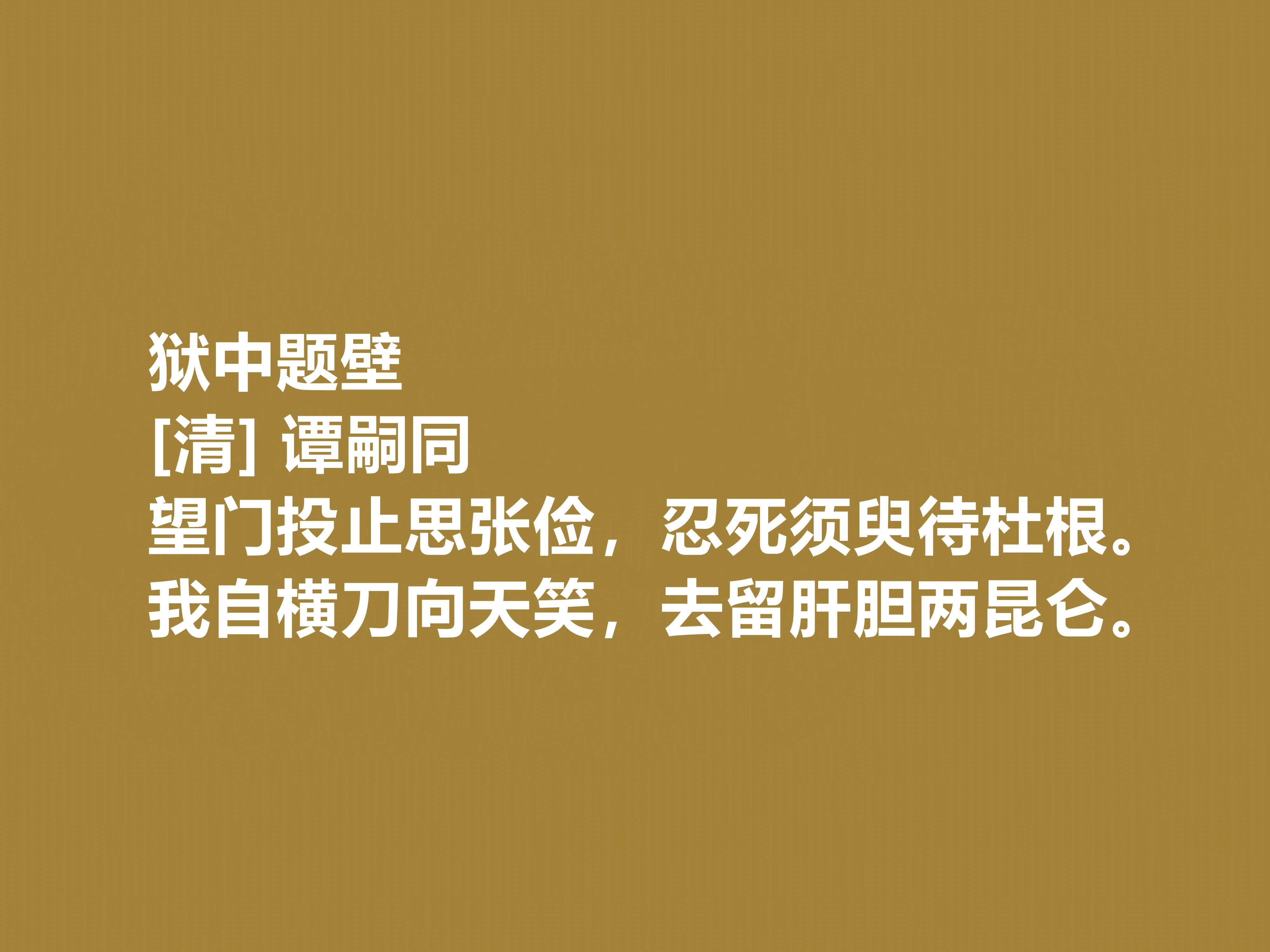 谭嗣同简介及代表作品（我国大思想家，谭嗣同十首诗作，凸显爱国主义情操，细品深受感触）