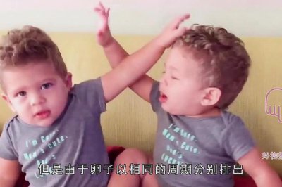 ​龙凤胎是孪生吗（龙凤胎为什么会克父母）