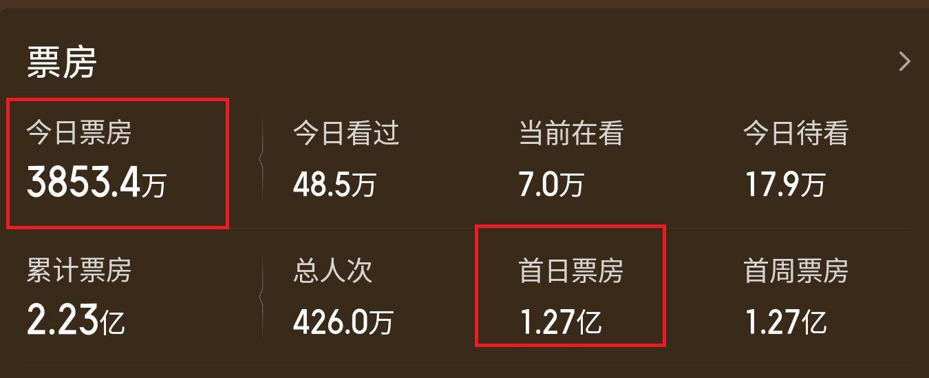 张小斐新作春节档高开低走，从绿叶熬成“影后”，却显现出瓶颈