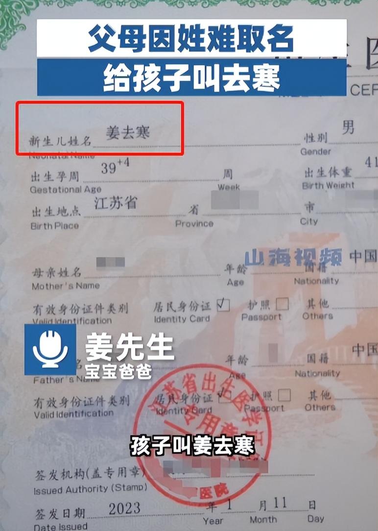 现在的电影真敢演，贾冰陈乔恩姐弟恋，张子枫胡先煦变夫妻