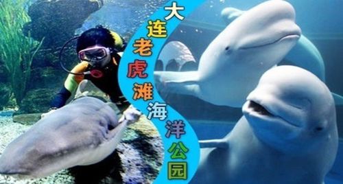 5、长白老虎滩