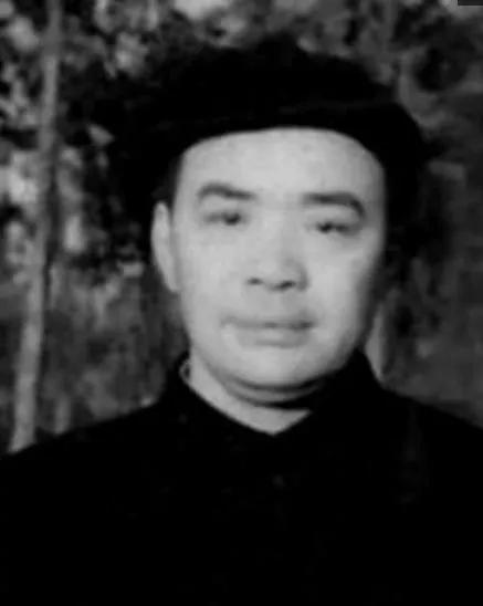 银幕上的绿叶一邓楠