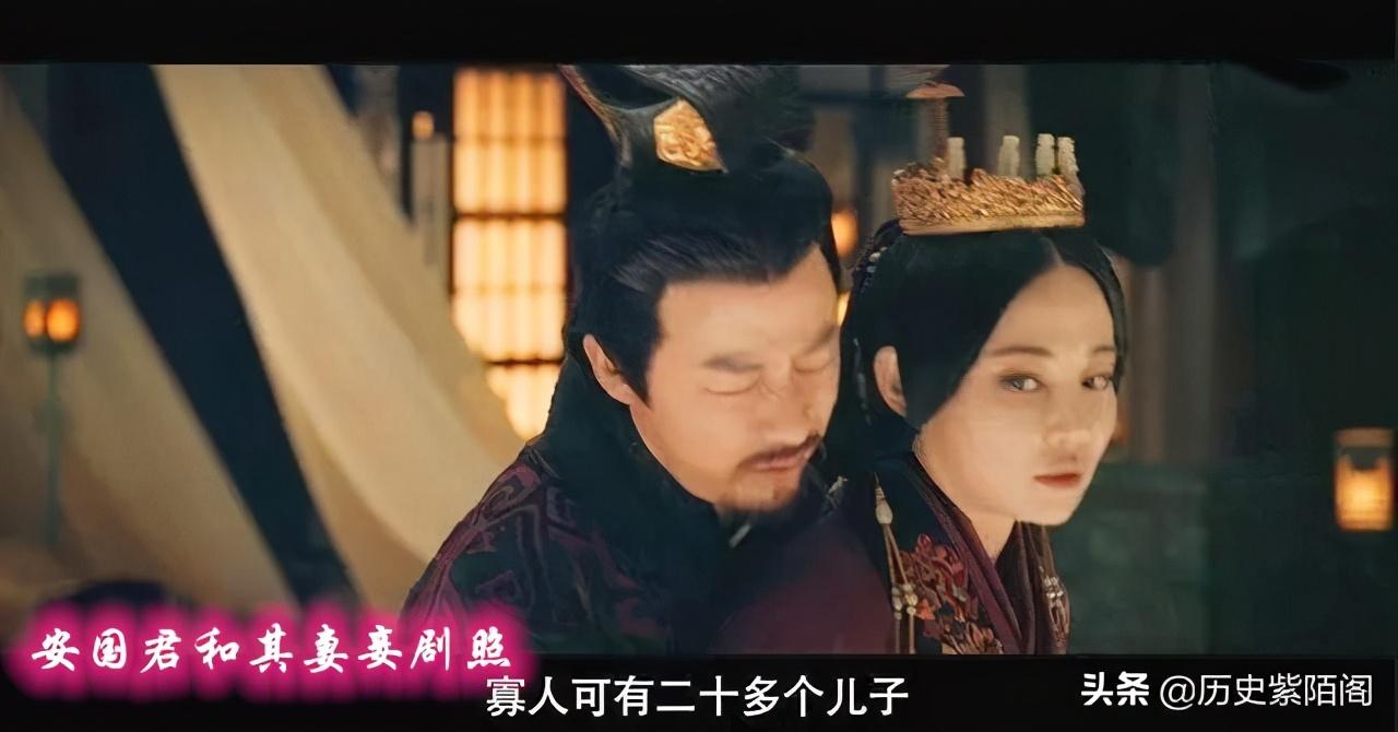 秦昭襄王嬴稷与秦始皇的关系(秦昭襄王嬴稷与秦始皇见过吗)