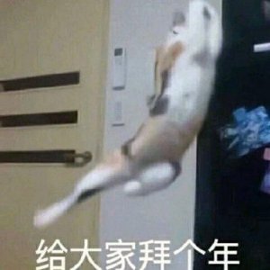 ​鼠年拜年祝福语四字，鼠年拜年祝福语大全