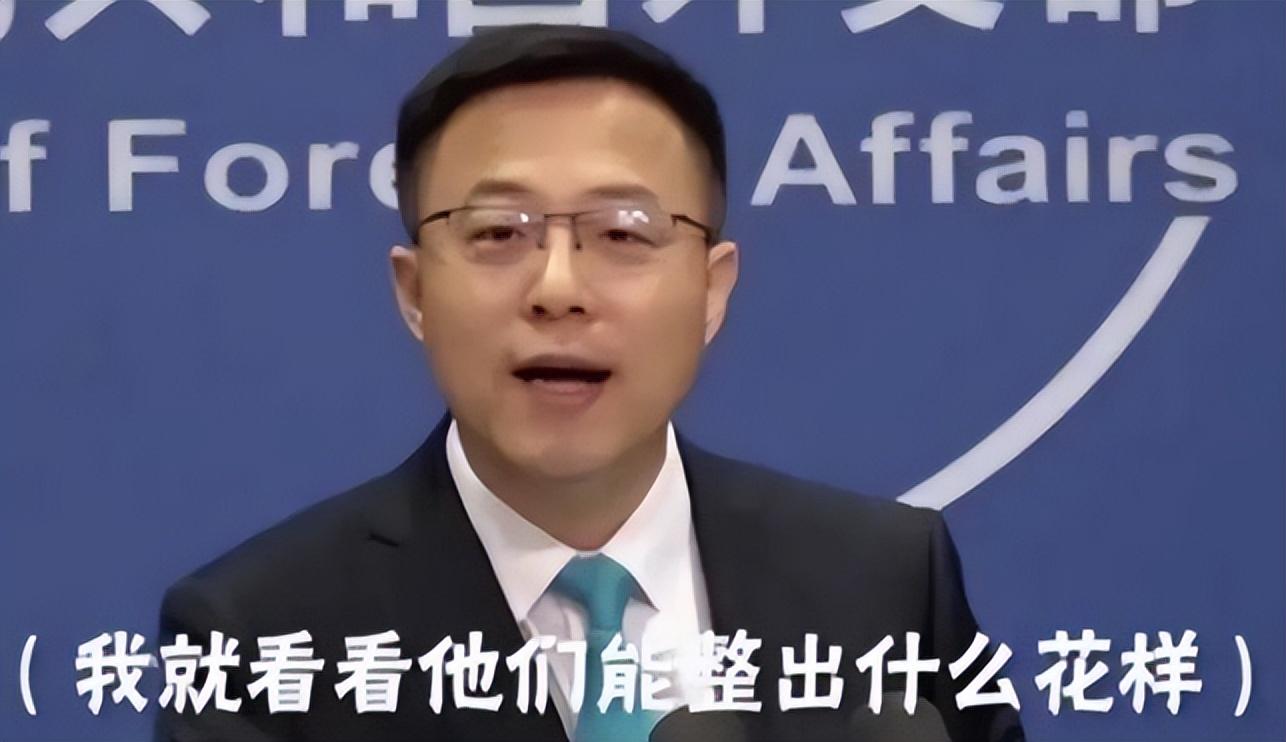 中国外交官有哪几位(赵立坚为什么退出外交发言人)