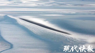 ​鬼斧神工！盐城条子泥湿地长出“羽毛”