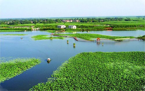 2、白洋淀湿地公园