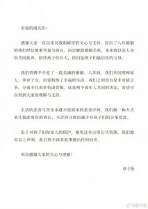 ​内娱需要搞事业的章子怡