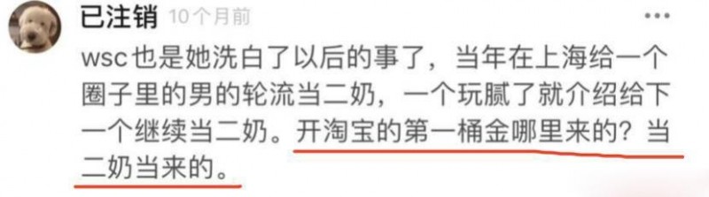 网红雪梨个人资料（网红雪梨借财生财背后的四任男友）