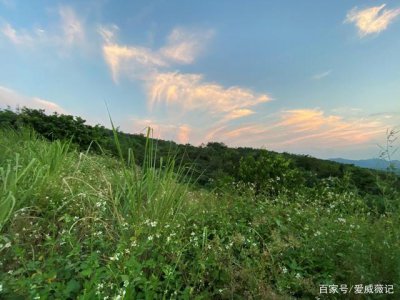 ​长沙四日游攻略