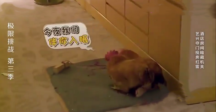 “娱圈羊肉卷”张艺兴：在极挑里靠呆萌出圈，今成现实版霸道总裁