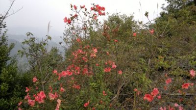​赤坎有什么好玩的地方景点