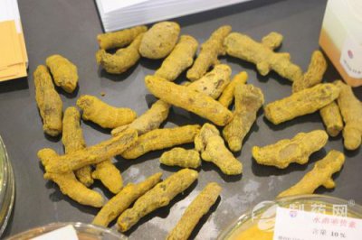 ​中药切片机多少钱一台(中药切片机使用方法)