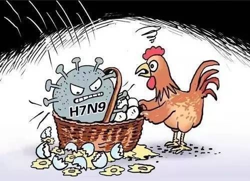 北京禽流感是哪一年(北京禽流感是哪一年发生的)-第1张图片-