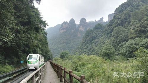 二、第四天（张家界核心景区）